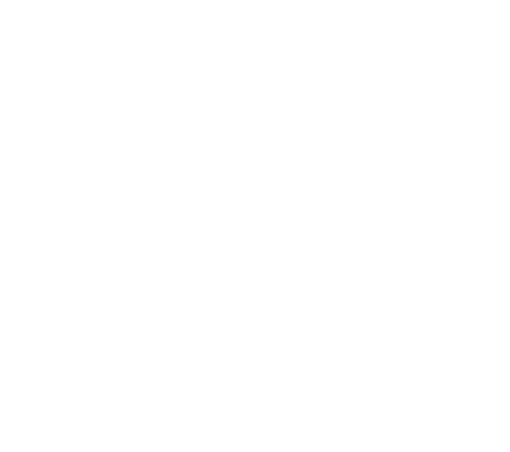 Logo Transparent 12