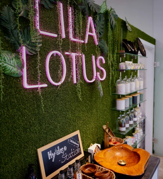 Lila lotus hydro station